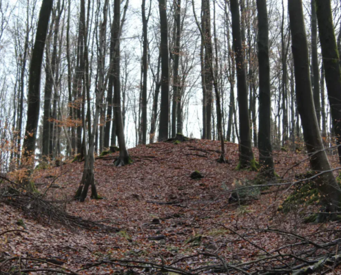 Ein Berg ist nicht immer ein Berg, Rhein-Sieg-Kreis, Eitorf.