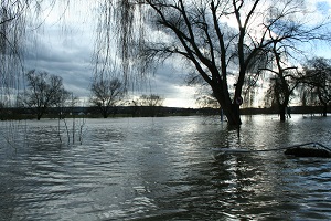 Hochwasser zum Jahreswechsel