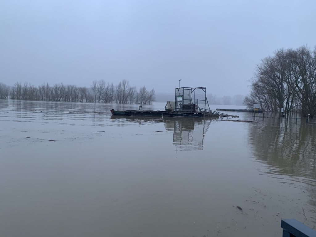 Hochwasser, Rhein