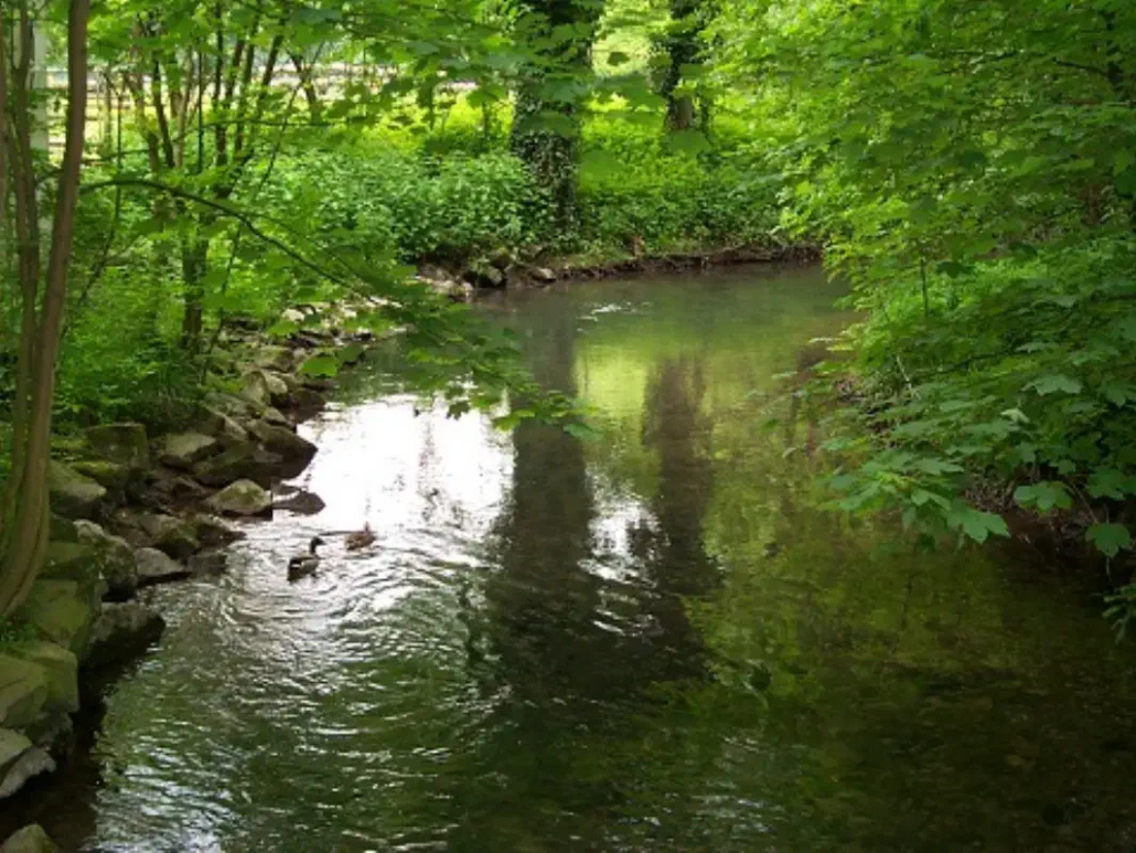 Die Knochen in der Hundsklipp, Neanderthal, Duesseltal, Rheinland.