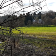 Vergangene Muehlen im Naafbachtal, Rhein-Sieg-Kreis.