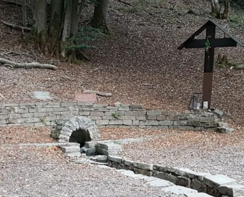 Von geheimen Quellen im Wald, Rhein-Sieg-Kreis.