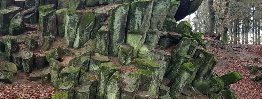 Basaltsaeulen im Wald, Rhein-Sieg-Kreis.