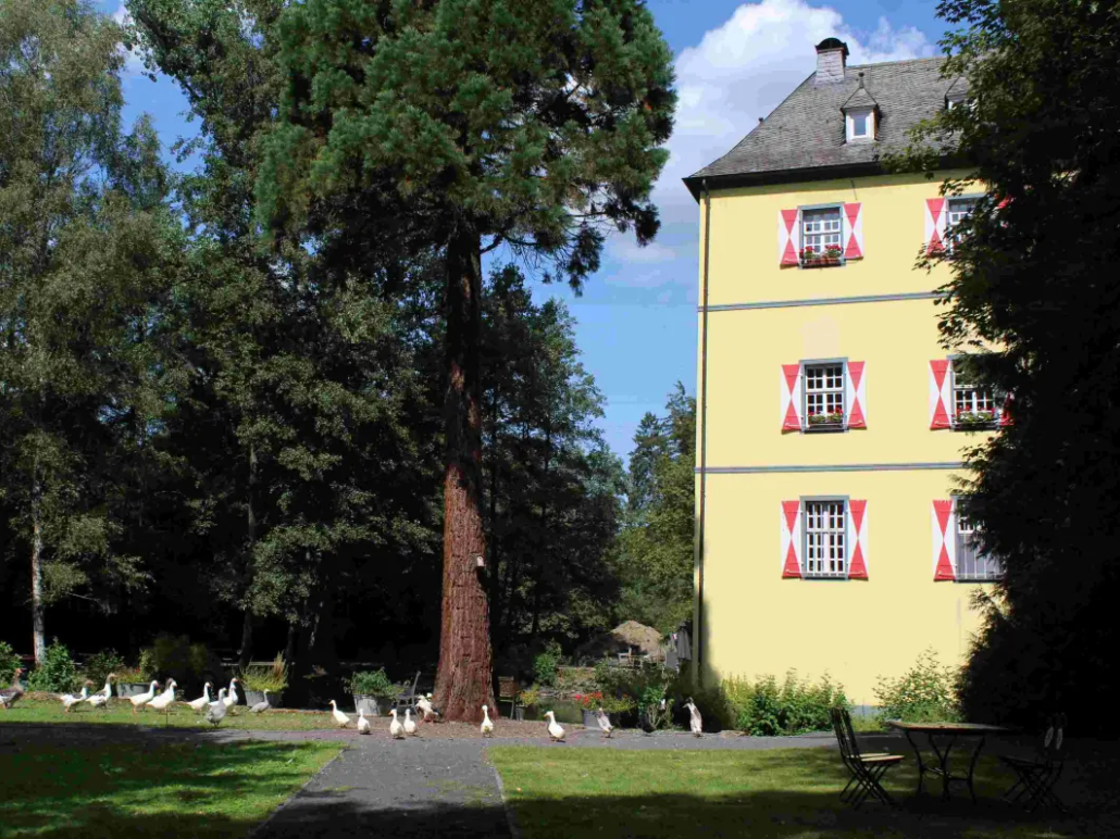 Liegt ein Fluch auf Burg Welterode, die Burg von vorne.