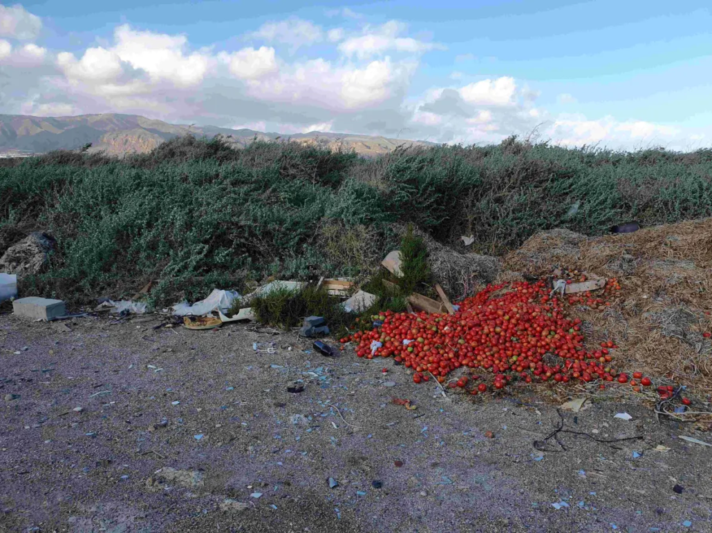 Spanien: Auch Gemuese landet auf Muellbergen.