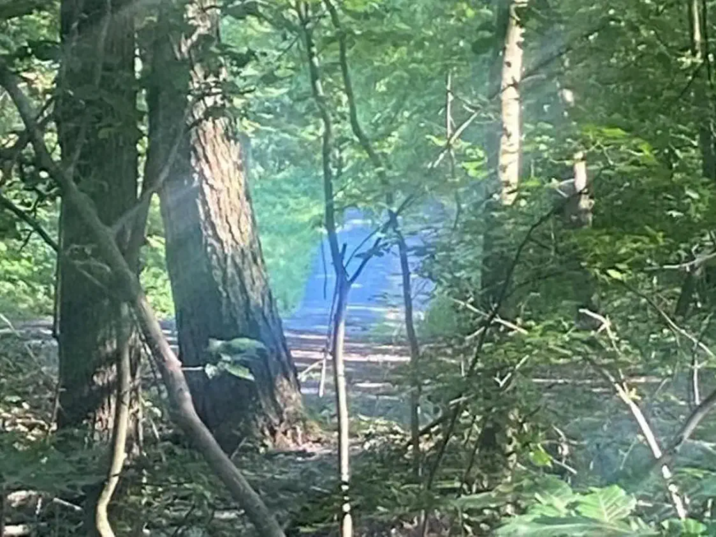 Ein blaues Licht im Siebengebirge von der Seite.