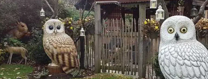 Die Queen im Kasbachtal im Siebengebirge.