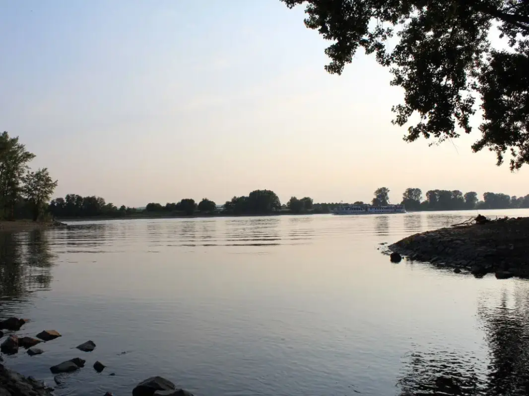 Die verschwundene Insel im Rhein, Siegmeundung, Rhein-Sieg-Kreis.