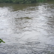 Das Totenloch in der Sieg bei Eitorf, Rhein-Sieg-Kreis.