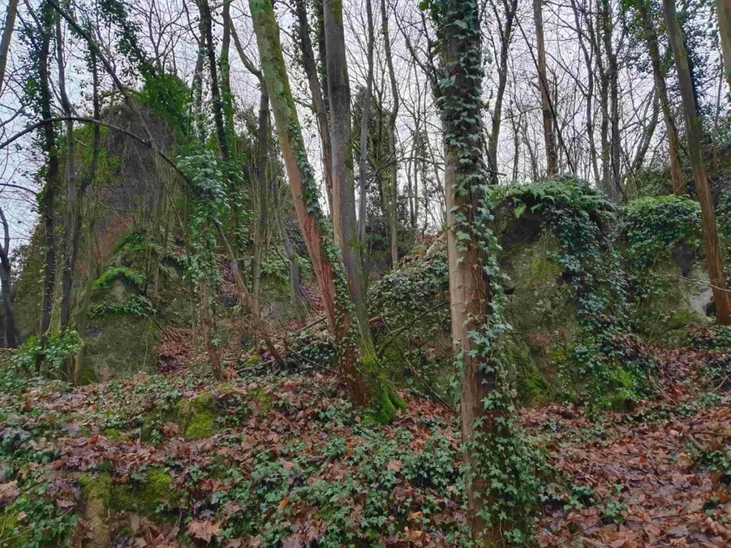 Die Wolsberge in Siegburg und ihre Geheimnisse.