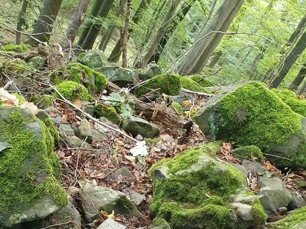 Die Hexe im Mehrbachtal im Wald.