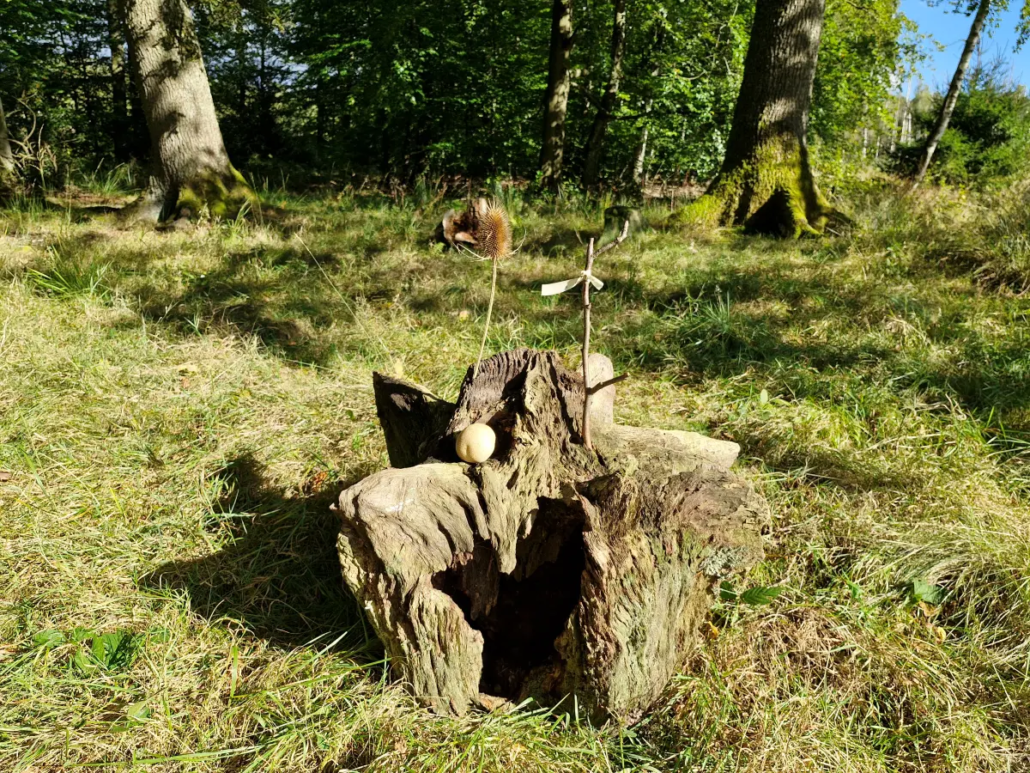 Die Hexe im verlassenen Tal, Baumkreis in Rheinland-Pfalz