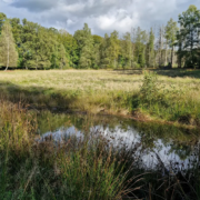 Die Hexe im verlassenen Tal in Rheinland-Pfalz.