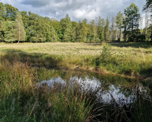 Die Hexe im verlassenen Tal in Rheinland-Pfalz.