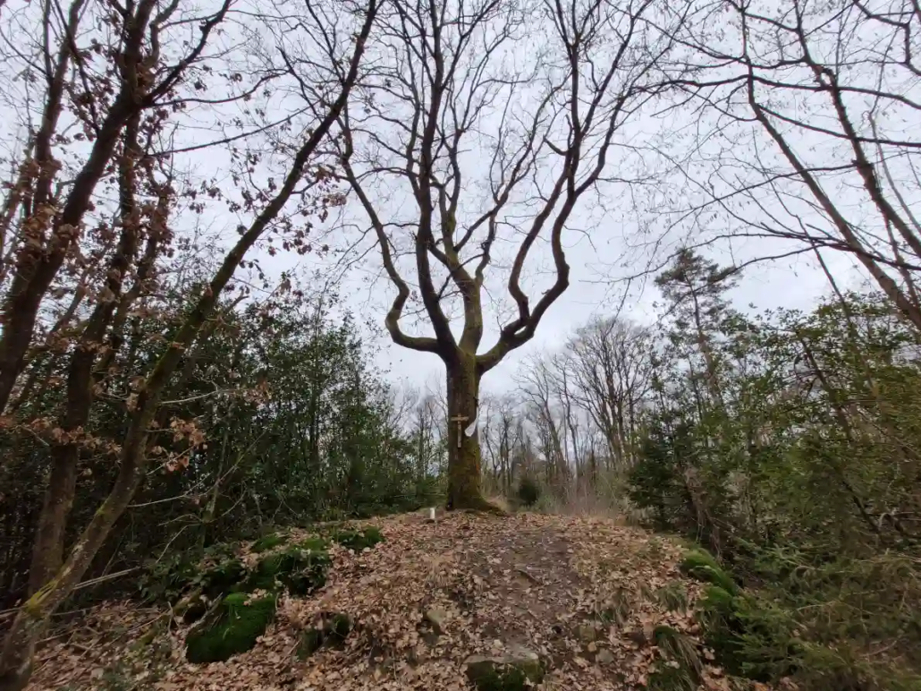 Galgenberg im Nutscheid und seine grausige Geschichte