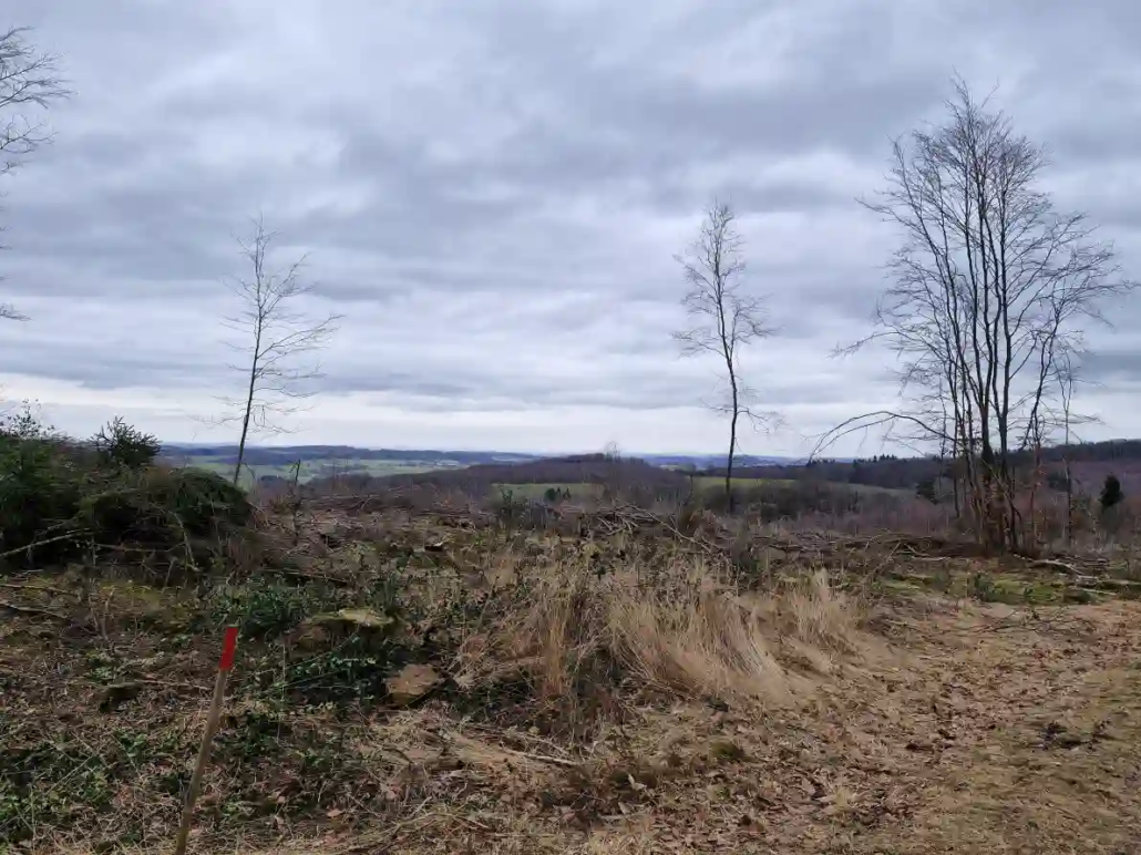 Galgenberg im Nutscheid und seine grausige Geschichte Landschaft