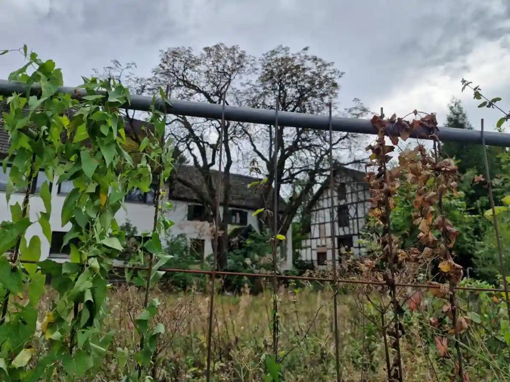 Ein historischer Festsaal vom Verfall bedroht Haus Kettwig mit Bauzaun