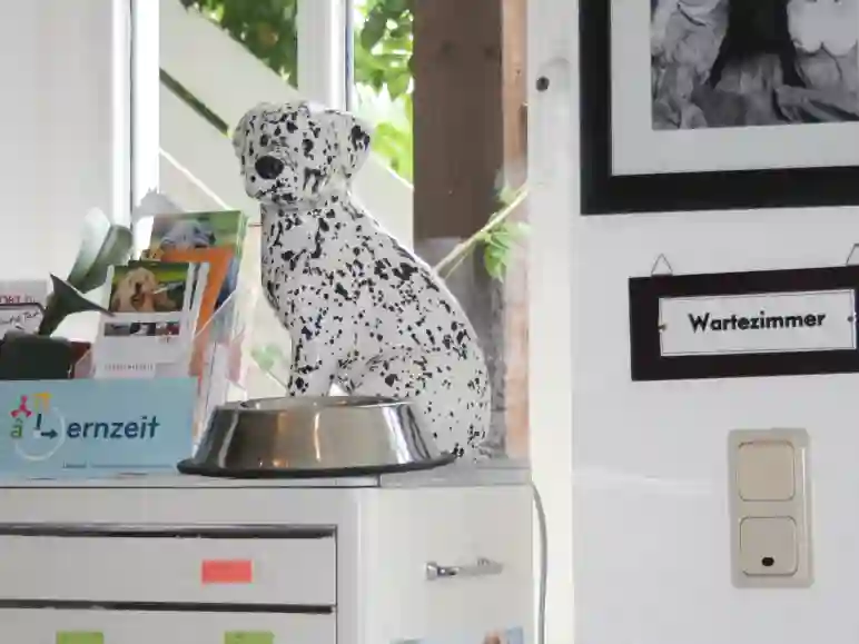 Homöopathie für Tiere Wartezimmer Tierarzt