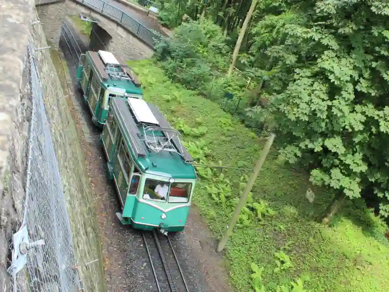 Der Fluch des Drachen und die Toten im Siebengebirge Zahnradbahn