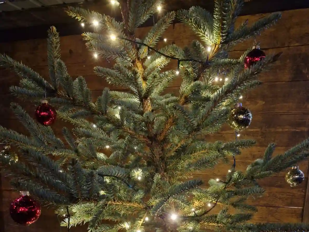 Der Geist von Weihnachen Weihnachtsbaum