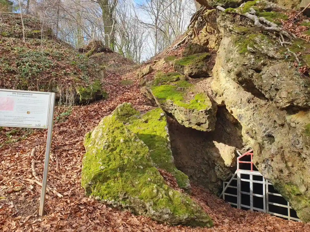 Hoehlen und ihre geheimnisvollen Bewohner Herrenstrunden