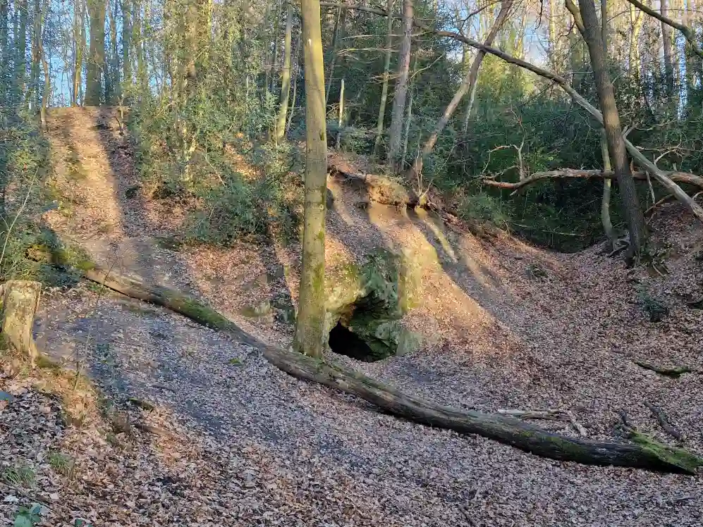 Hoehlen und ihre geheimnisvollen Bewohner Baerenhoehle