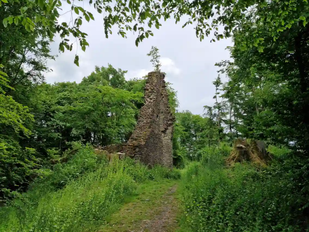 Hoehlen und ihre geheimnisvollen Bewohner Ruine Neuenberg