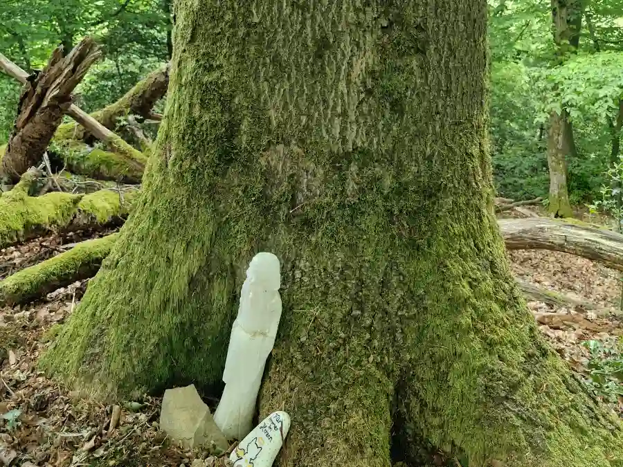 Hoehlen und ihre geheimnisvollen Bewohner Figur