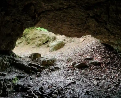 Hoehlen und ihre geheimnisvollen Bewohner Zwegenloch