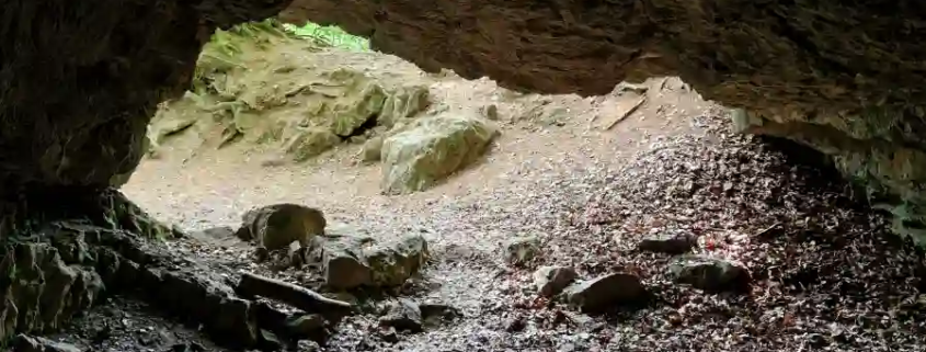 Hoehlen und ihre geheimnisvollen Bewohner Zwegenloch