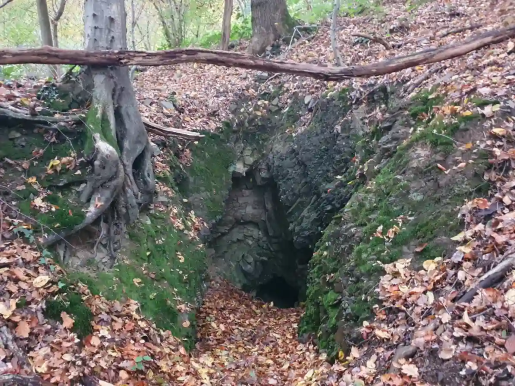 Hoehlen und ihre geheimnisvollen Bewohner Windeck