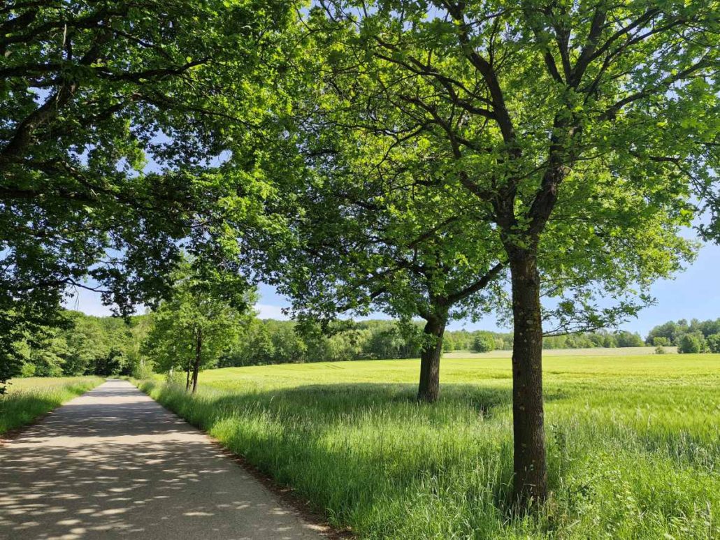 Die Strasse nach Meisenbach -Buergerinitiative.