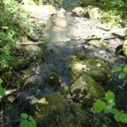 Der Eipbach in Eitorf