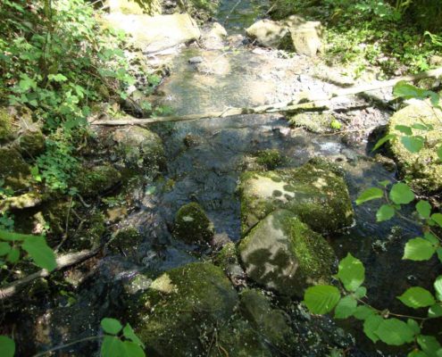 Der Eipbach in Eitorf