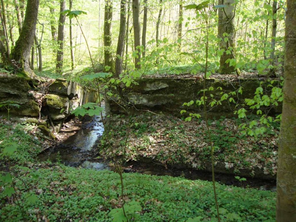 Der Eipbach und geheimnisvolle Mauern im Wald.