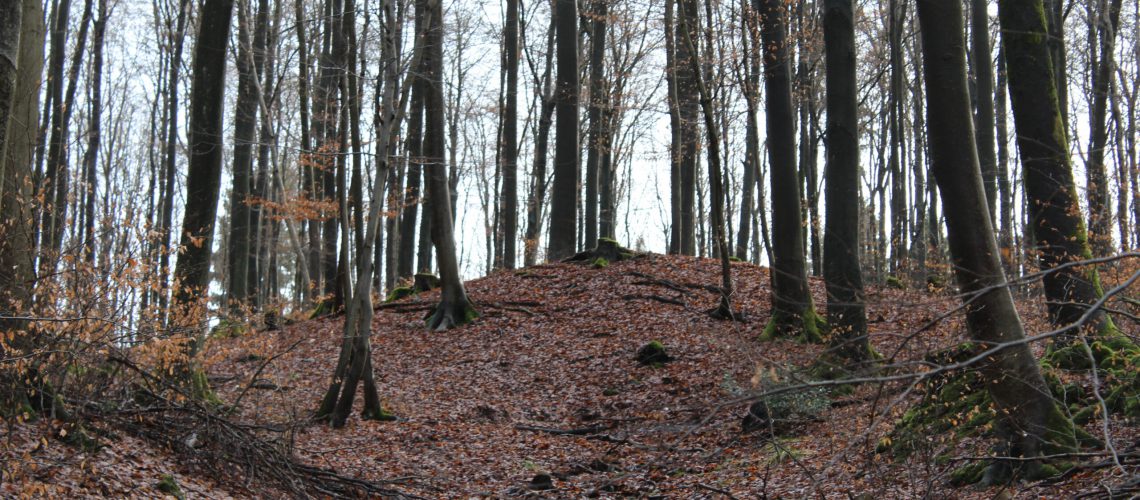 Schlackeberg im Eitorfer Wald. (Foto: Sprünken)