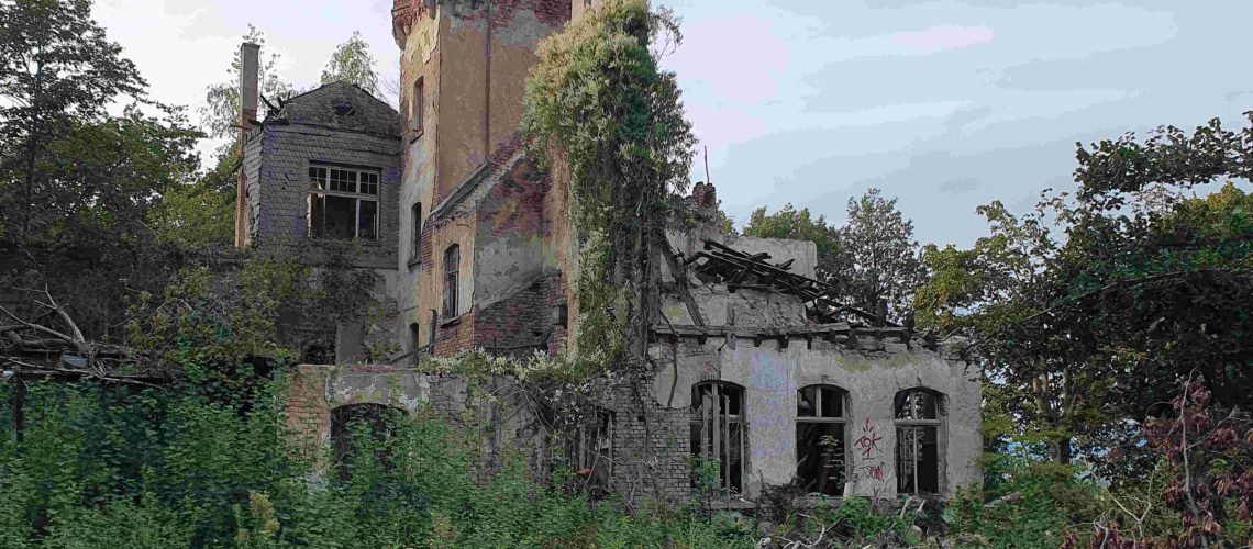 Die Ruine der Waldburg. (Foto: Inga Sprünken)